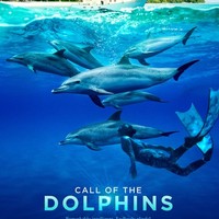 Call of the Dolphins Call of the Dolphins