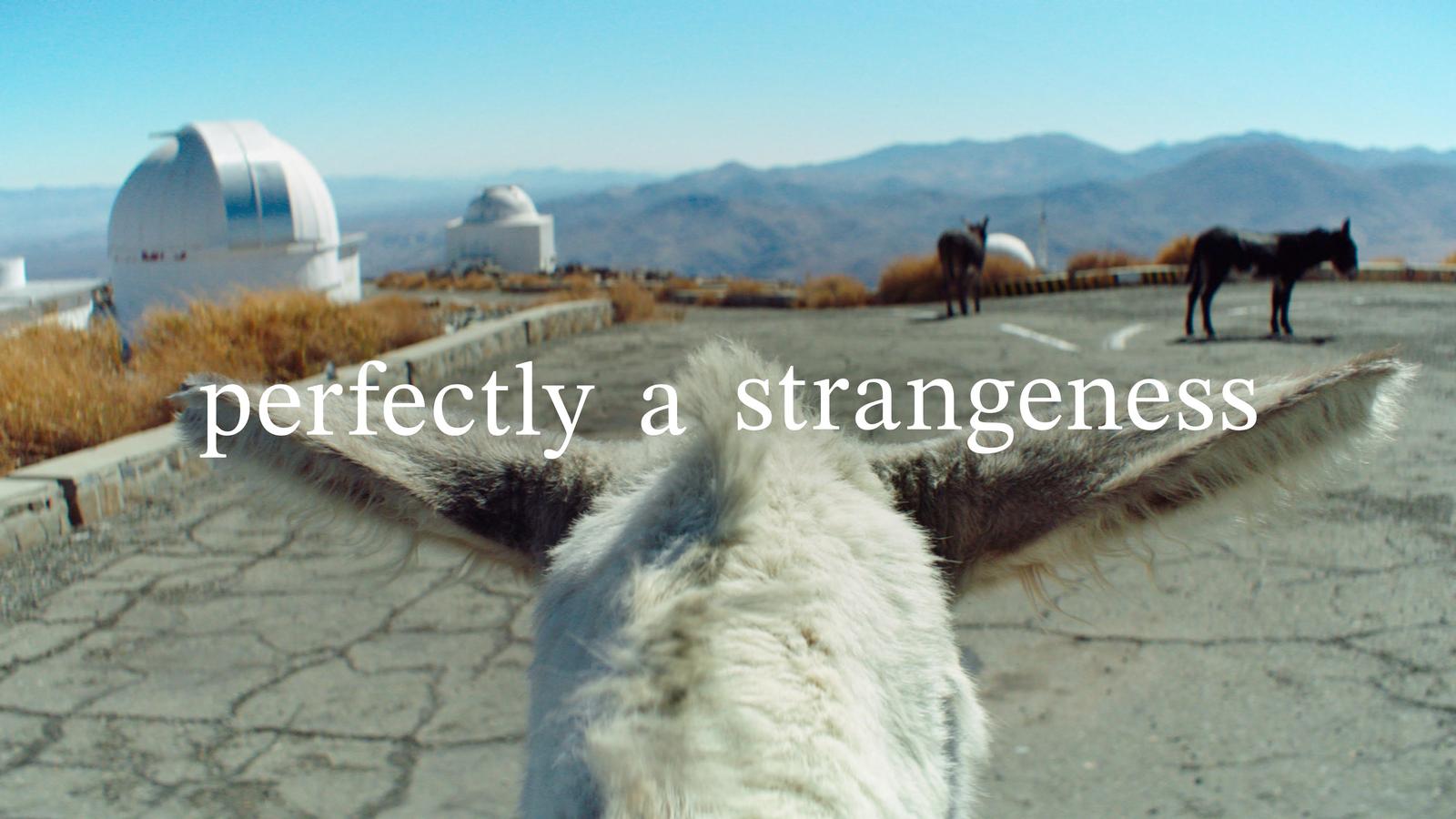 perfectly a strangeness