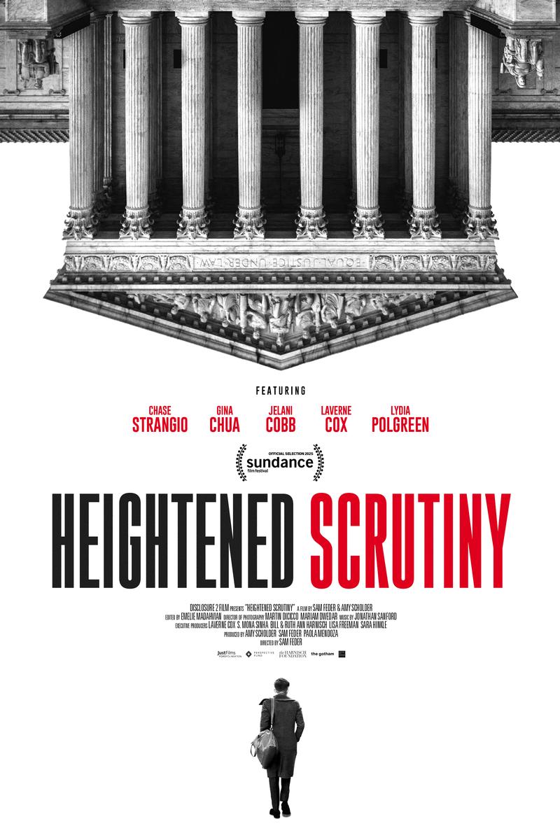 Heightened Scrutiny Poster